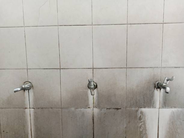 Best Water damage repair service  in Greenville, AL