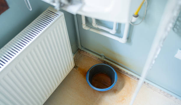 Best Residential water damage restoration  in Greenville, AL