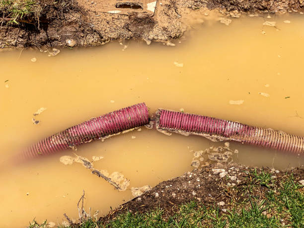 Best 24/7 water damage repair  in Greenville, AL