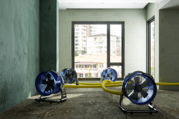 Best Sewage cleanup and water damage restoration  in Greenville, AL